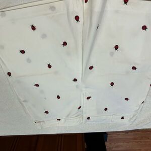Classic Elements Cream Shorts with Ladybug Print